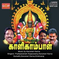 ChinnaChinnaChinna Karumari Karna Song Download Mp3