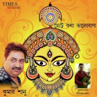 Kichu Kotha Bhola Jai Ki Kumar Sanu Song Download Mp3