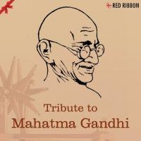 Tribute To Mahatma Gandhi - Inspirational And Patriotic Songs songs mp3