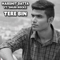 Tere Bin songs mp3