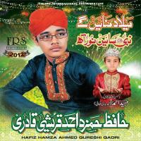 Kehti Hai Yeh Pholon Hafiz Hamza Ahmed Qureshi Qadri Song Download Mp3