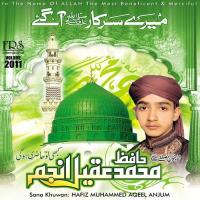 Dar-E-Makhdoom Se Hafiz Muhammed Aqeel Anjum Song Download Mp3