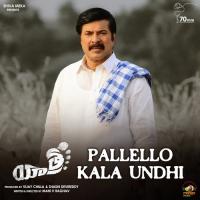 Pallello Kala Undhi S. P. Balasubrahmanyam Song Download Mp3