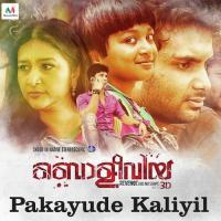 Pakayude Kaliyil Radhika Sethumadhavan Song Download Mp3