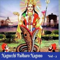 Nagnechi Padharo Nagono, Vol. 2 songs mp3