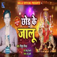 Chhod Ke Jaalu Piyush Mishra Song Download Mp3