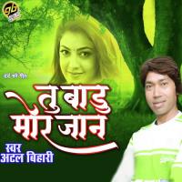 Tu Badu Mor Jaan Atal Bihari Song Download Mp3
