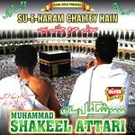 Su-e-Haram Chaltey Hain songs mp3