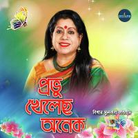 Provu Kheleso Onek Nigar Sultana Tawhid Song Download Mp3