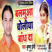 Balamua Choliya Bandh Da Krishna Premi Pardhan Song Download Mp3