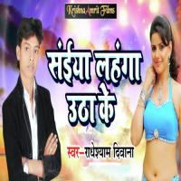 Saiya Lehanga Utha Ke Radheshyam Deewana Song Download Mp3