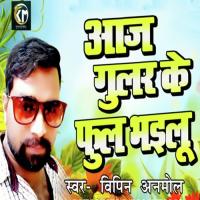Aaj Gular Ke Phool Bhailu Vipin Anmol Song Download Mp3