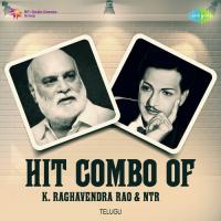Hit Combo Of K. Raghavendra Rao And NTR songs mp3