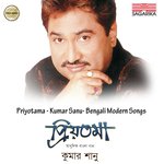 Ekhono E Raat Kumar Sanu Song Download Mp3
