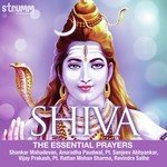 Om Namah Shivay Shankar Mahadevan Song Download Mp3
