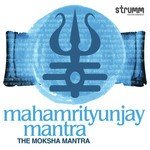 Mahamrityunjay Mantra songs mp3
