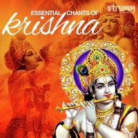 Essential Chants of Krishna songs mp3