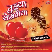 Disha Dishatun Chaitanyache Vibhavari Apte-Joshi Song Download Mp3