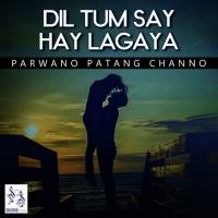 Dil Tum Say Hay Lagaya Parwano Patang Channo Song Download Mp3