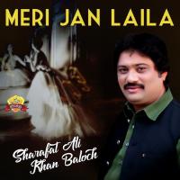 Meri Jan Laila songs mp3