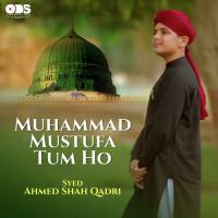 Muhammad Mustufa Tum Ho Syed Ahmed Shah Qadri Song Download Mp3