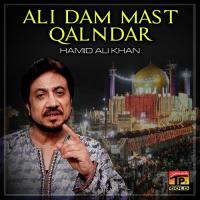 Ali Dam Mast Qalndar songs mp3