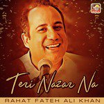 Teri Nazar Na Rahat Fateh Ali Khan Song Download Mp3