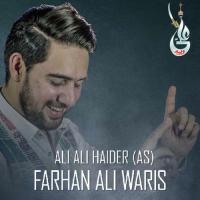 Ali Ali Haider Farhan Ali Waris Song Download Mp3