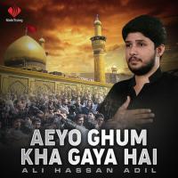 Aeyo Ghum Kha Gaya Hai Ali Hassan Adil Song Download Mp3