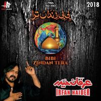 Bibi Zindan Tera Irfan Haider Song Download Mp3