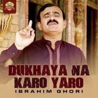Dukhaya Na Karo Yaro songs mp3