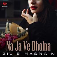 Na Ja Ve Dholna Zil E Hasnain Song Download Mp3