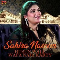 Husun Wale Wafa Nahi Karty songs mp3