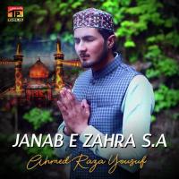 Labaik Ya Rasoolallah Ahmed Raza Yousuf Song Download Mp3