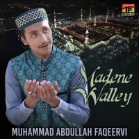 Main Seene Wich Naa Tuhada Muhammad Abdullah Faqeervi Song Download Mp3