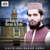 Are Hajiyo Tum Haram Ja Rahe songs mp3