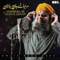 Marhaba Ae Jaan E Janan Alhajj Muhammad Owais Raza Qadri Song Download Mp3