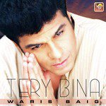 Tery Bina Waris Baig Song Download Mp3