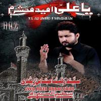 Sattar Qadam Ka Fasla Syed Raza Abbas Zaidi Song Download Mp3
