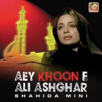 Aey Khoon E Ali Ashghar Shahida Mini Song Download Mp3