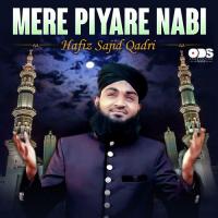 Mere Piyare Nabi Hafiz Sajid Qadri Song Download Mp3
