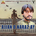 Ajjan O Naraz Ay, Vol. 1 songs mp3