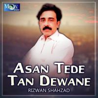 Asan Tede Tan Dewane Rizwan Shahzad Song Download Mp3