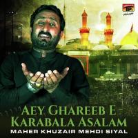 Aey Ghareeb E Karabala Asalam songs mp3