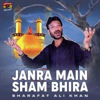 Janra Main Sham Bhira songs mp3