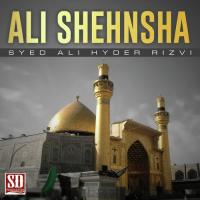 Ali Shehnsha songs mp3