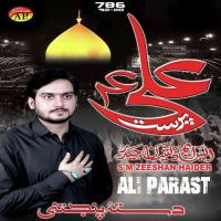 Ali Parast S. M. Zeeshan Haider Song Download Mp3