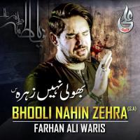 Bhooli Nahin Zehra Farhan Ali Waris Song Download Mp3