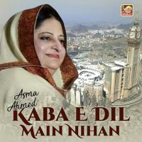 Le Aae Phir Mujhe Yahan Asma Ahmed Song Download Mp3