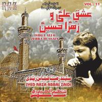 Ishq E Ali O Zehra Hussain, Vol. 11 songs mp3